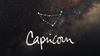 10 Quick Facts about Capricorns (Are you one?!)